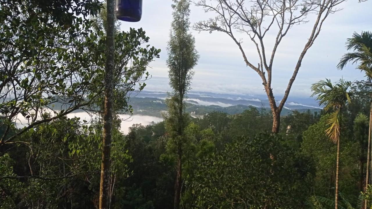 Munnar Home Stay Teadrops Plantation Villa Exterior photo