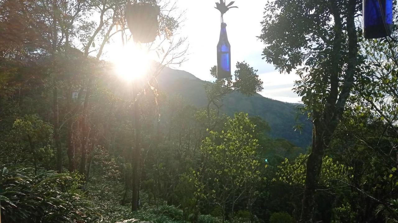 Munnar Home Stay Teadrops Plantation Villa Exterior photo