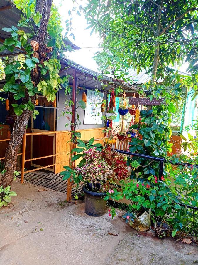 Munnar Home Stay Teadrops Plantation Villa Exterior photo