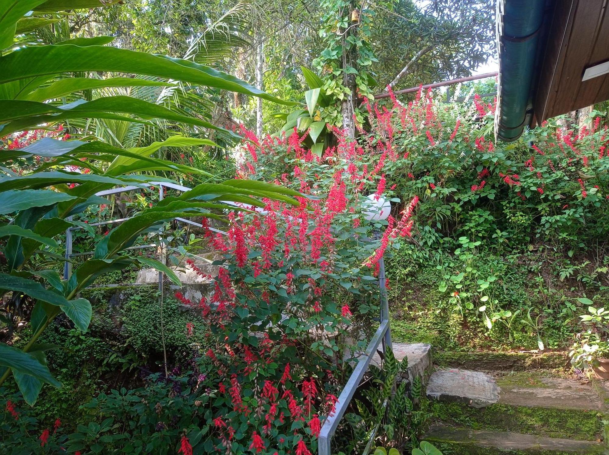 Munnar Home Stay Teadrops Plantation Villa Exterior photo